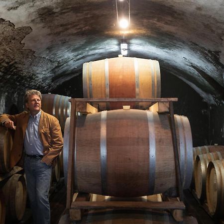 Fattoria Di Rignana Winery Bnb Greve in Chianti Dış mekan fotoğraf