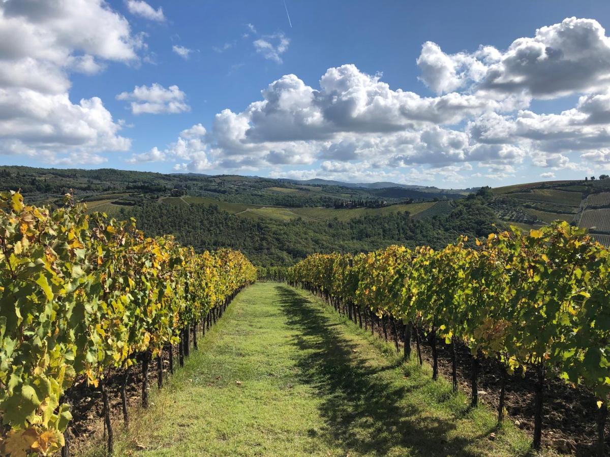Fattoria Di Rignana Winery Bnb Greve in Chianti Dış mekan fotoğraf