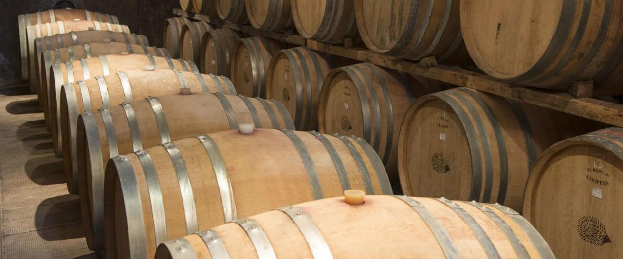 Fattoria Di Rignana Winery Bnb Greve in Chianti Dış mekan fotoğraf