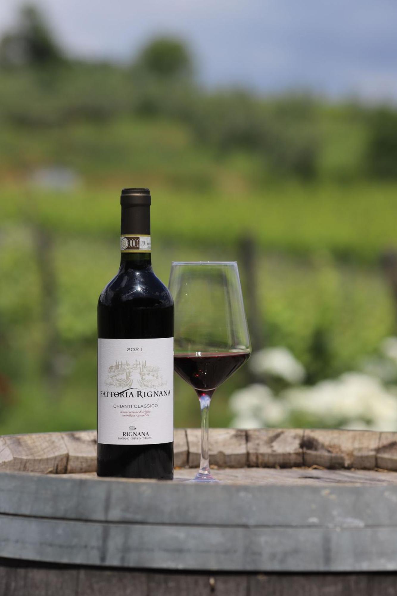 Fattoria Di Rignana Winery Bnb Greve in Chianti Dış mekan fotoğraf