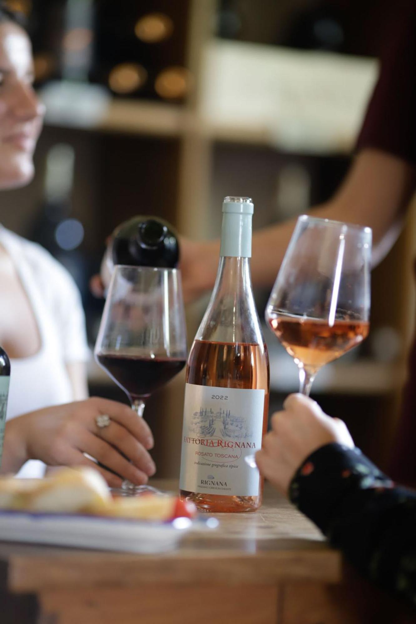 Fattoria Di Rignana Winery Bnb Greve in Chianti Dış mekan fotoğraf